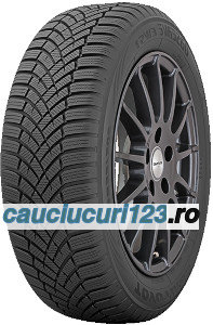 Toyo Observe EWS1