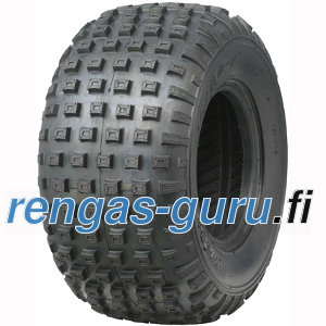 Wanda P-319