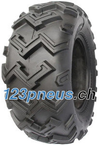 Wanda P-306