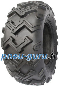 Wanda P-306