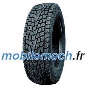 Ziarelli Ice Power