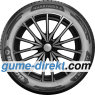 Quartaris 6
