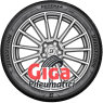 Bridgestone Potenza Sport Evo