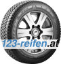 Bridgestone Blizzak W810