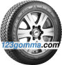 Bridgestone Blizzak W810