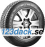 Bridgestone Blizzak W810