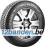 Bridgestone Blizzak W810