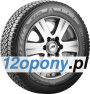 Bridgestone Blizzak W810
