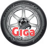 Dunlop Blue Response TG