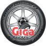 Dunlop Blue Response TG