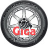 Dunlop Blue Response TG