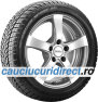 SP Winter Sport 3D DSROF