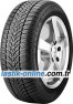 SP Winter Sport 4D DSROF