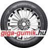 Dynamo Winter