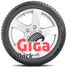 Falken EUROWINTER HS02PRO