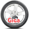 Falken EUROWINTER HS02PRO