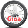 Falken EUROWINTER HS02PRO