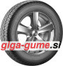 Falken LINAM R51