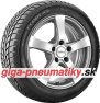 Hankook Winter i*cept RS (W442)