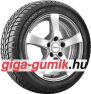 Hankook Winter i*cept RS (W442)