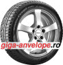 Hankook Winter i*cept evo (W310)