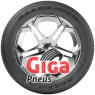 Maxxis Premitra 6