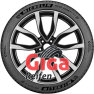 Michelin Pilot Sport 4 SUV ZP