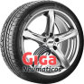 Michelin Pilot Alpin PA3