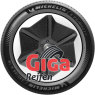 Michelin E Primacy 2
