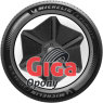 Michelin E Primacy 2