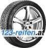 Michelin Pilot Alpin PA4