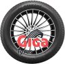 Nankang Ice Activa Grip 2