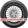 Nankang Ice Activa Grip 2