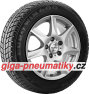 Nexen Eurowin 600