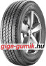Nexen Roadian HT