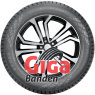 Nokian Hakkapeliitta 01