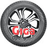 Nokian Hakkapeliitta 01