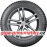 Nokian Hakkapeliitta 10