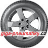 Nokian Hakkapeliitta R3