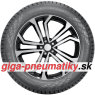 Nokian Hakkapeliitta 01