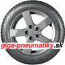 Nokian Hakkapeliitta R3