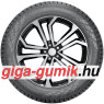 Nokian Hakkapeliitta 01