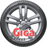 Optimo Winter GT OW31A