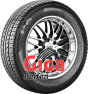 Pirelli P 6