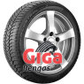  Winter 210 Snowcontrol Serie 3 Run Flat