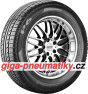 Pirelli P 6