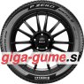 Pirelli P Zero Winter 2 Run Flat