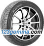Pirelli P6000