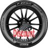 Pirelli P Zero Winter 2