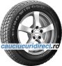 Eurowin 650